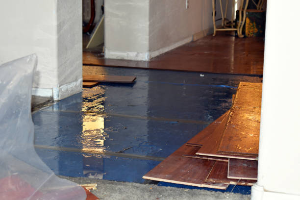 Professional Flood Damage Restoration technician working in Bernardston, MA